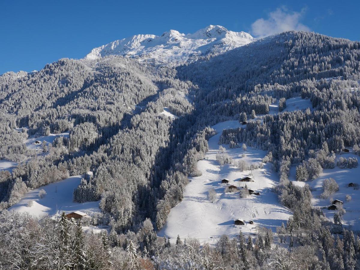 La Ferme D'Hauteluce - Chalets Екстериор снимка